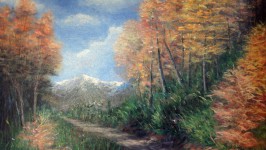 camino-campestre-marisolperez.cl
