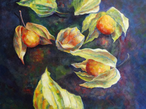 physalis-marisolperez.cl