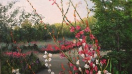 Un trozo de mi jardín