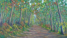 Bosque mágico