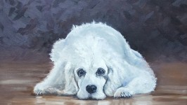Snoopy