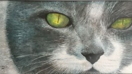 menta