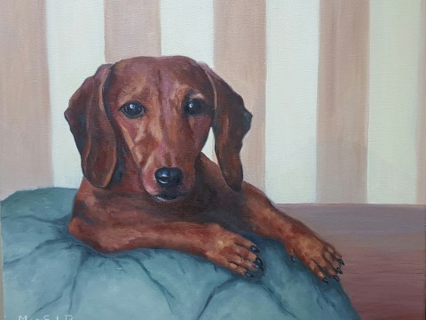 tumi