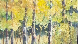 bosque