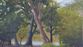 camino-al-lago-grey