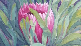 protea-0