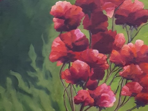floracion