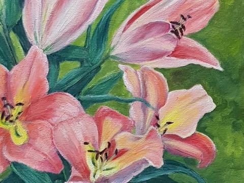 Lilium