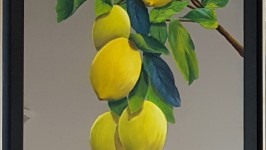 limones-en-espejo-5