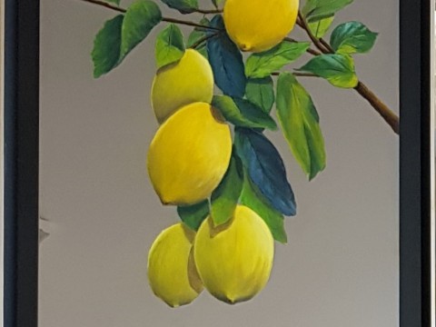 limones-en-espejo-5